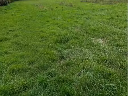 terrain constructible
