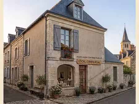 immeuble mixte commerce et habitation savonnières