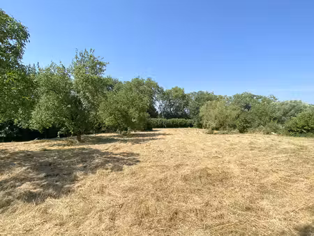 vente terrain  2663.00m²  castelnaudary