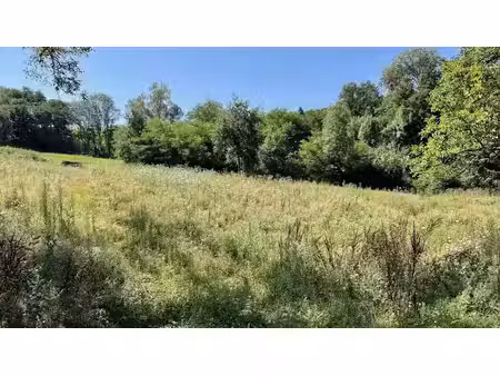 vente terrain à batir 1000 m² à thiers (63300)  110 000 €