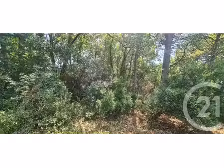 terrain à vendre - 1285 m2 - marcheprime - 33 - aquitaine