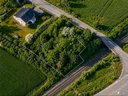 terrain