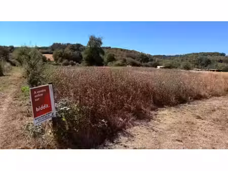 terrain agricole