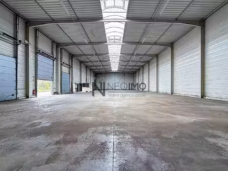 neo imo