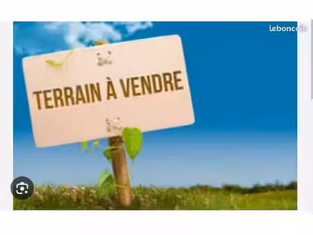 terrain plat constructible 1ha