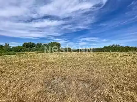vente terrain à ambon (56190) : à vendre / 320m² ambon