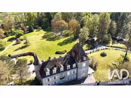 vente château 21 pièces