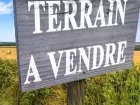 terrain constructible