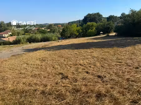 terrain