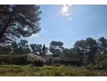vente terrain