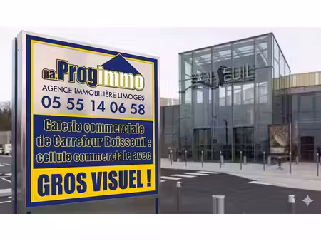 location local d’activités boisseuil 87220 60m²