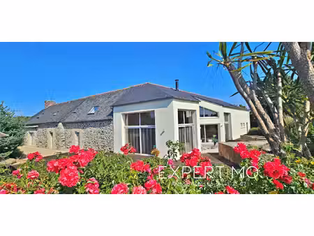 maison avec terrasse hénon (22)