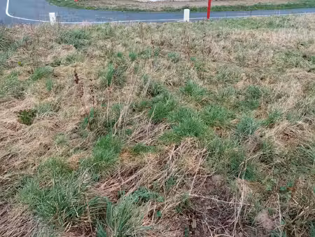 dpt seine maritime (76)  à vendre proche de ourville en caux terrain