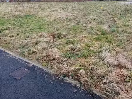 dpt seine maritime (76)  à vendre fauville en caux terrain