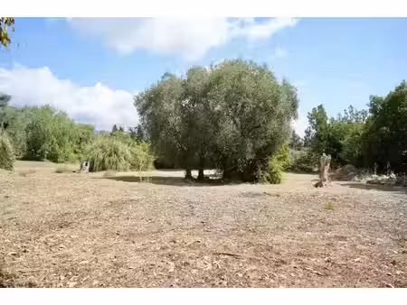 roquefort les pins - terrain plat constructible de 2513 m2