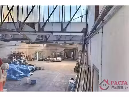 vente locaux professionnels 1800 m² à massaguel (81110)  135 000 €