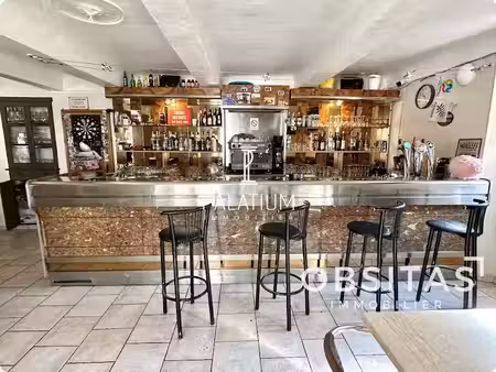vente locaux professionnels 137 m² à ongles (04230)  145 000 €