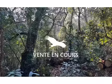 terrain à vendre