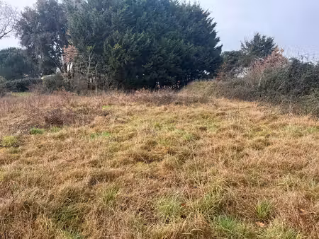 terrain - 1071 m²
