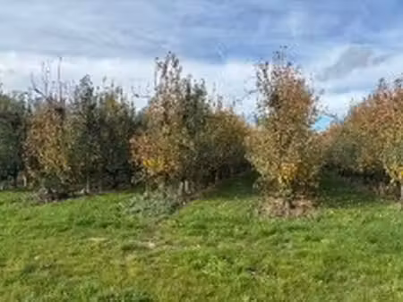 terrain à vendre à duras € 8.000 (lr1hm) - delta notarissen | zimmo