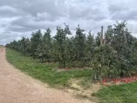 terrain à vendre à ulbeek € 5.800 (lr1i6) - delta notarissen | zimmo