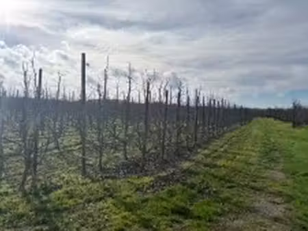 terrain à vendre à wilderen € 19.000 (lr1hk) - delta notarissen | zimmo