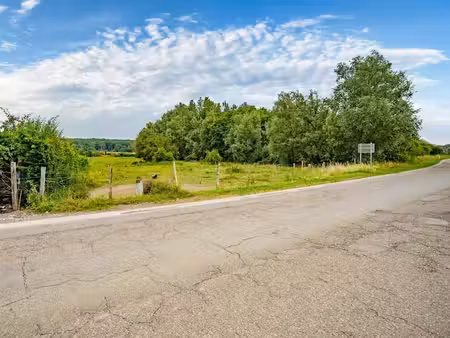 terrain à bâtir + 1 5 hectare de prairie
