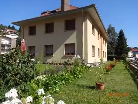 location appartement 5 pièces meublé à la bresse (88250) : à louer 5 pièces meublé / 74m² 
