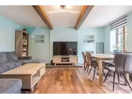 charmante maison en pierre du pays avec terrasse et garage!