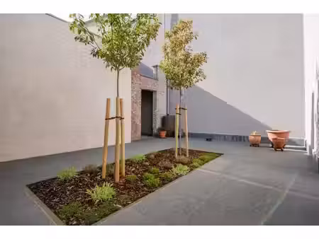 maison unique avec de nombreuses possibilités