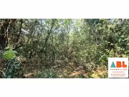terrain de loisirs boisé en bord de maine 1 337 m²