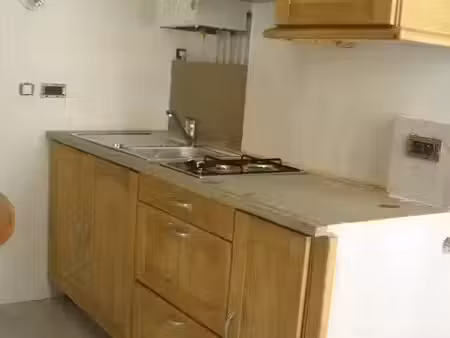 location appartement 1 pièce 37 m² à lyon 7 (69007)