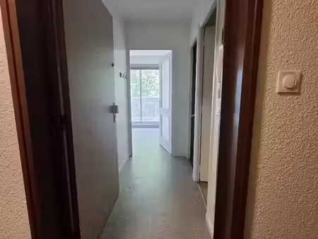 location appartement 1 pièce 26 m² à lyon 7 (69007)