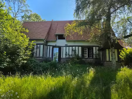maison de caractère à vendre 8 pièces 4 chambres à bailleul la vallee sur un terrain de 1 