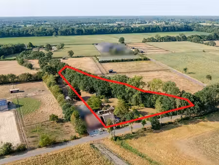 terrain à vendre à geel (lr27n) - balans notarissen (moortgat-pieters) | zimmo