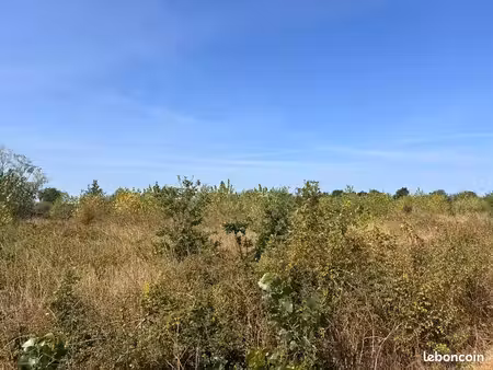 terrain agricole