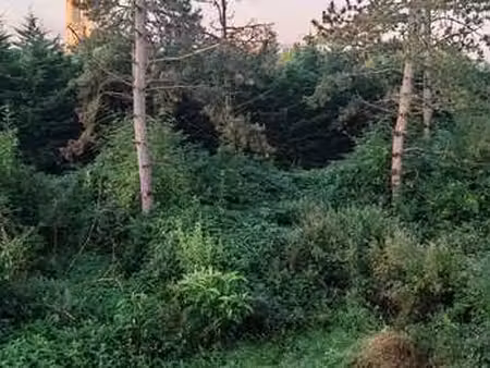 vente terrain à auneau (28700) : à vendre / 1000m² auneau