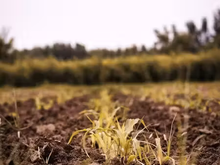 [recherche] location terrain agricole