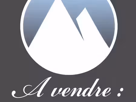local commercial à vendre