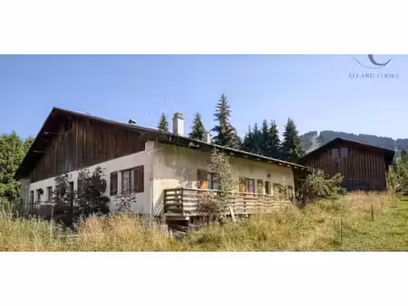 terrain megeve (74)
