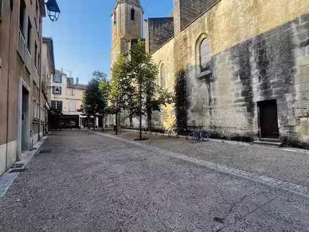 leonis immobilier pays d'arles