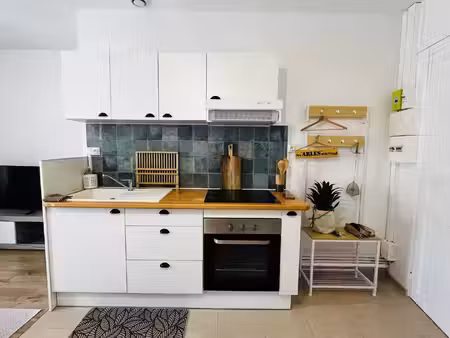leonis immobilier pays d'arles