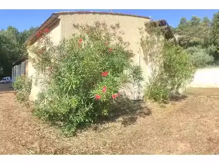 maison à louer