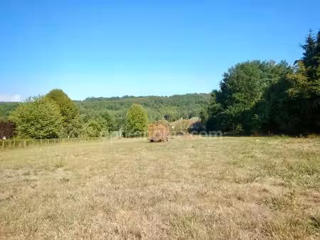 terrain constructible 1 602 m² chateau-l'eveque (24)