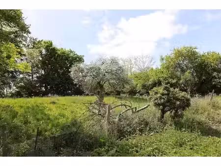 terrain à bâtir
