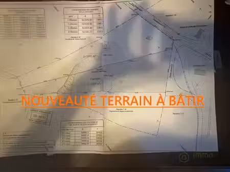 vente terrain 3991 m² à piedigriggio (20218)  52 000 €