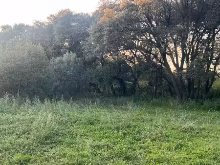 terrain constructible à vendre