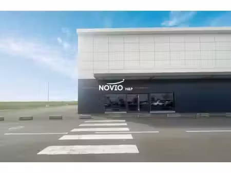 novio h&p