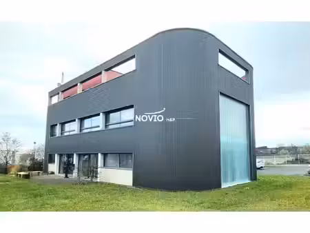 novio h&p