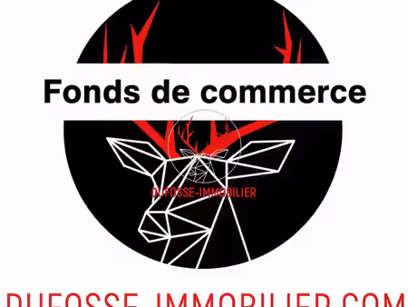 fonds de commerce matériel et accessoires de sport lyon